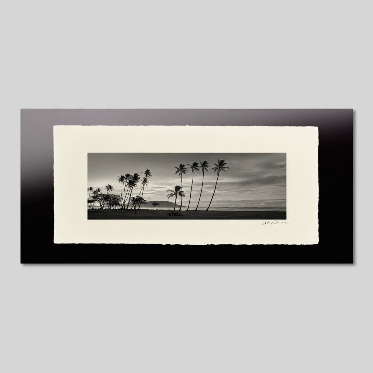 IGREBOW ϥ磻 Υ磻ӡȥ䥷ڡ[» 13] ܥ ƥꥢե ԥ㡼 ̿