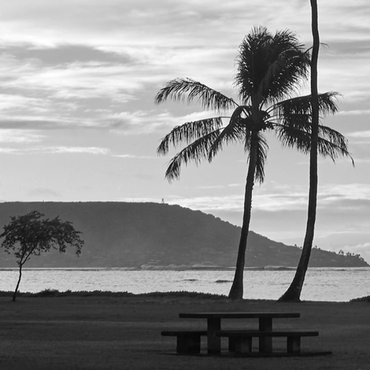 IGREBOW ϥ磻 Υ磻ӡȥ䥷ڡ[» 13] ܥ ƥꥢե ԥ㡼 ̿