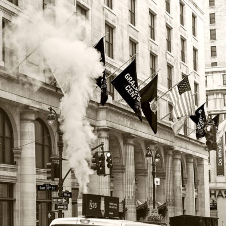 IGREBOW ˥塼衼 ޥϥåγ¤ߡ[å 11] ܥ ƥꥢե ԥ㡼 ̿