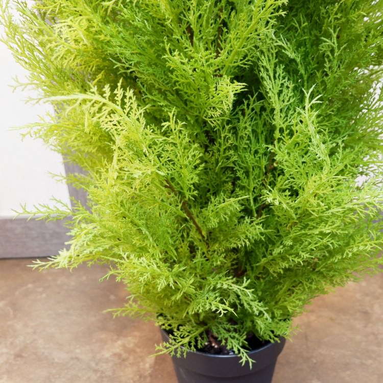 ɥ쥹ȥݥå(XL)180cmFD3166 ƥե륰꡼ ͹տʪ ͹ ʰȭդ꡼