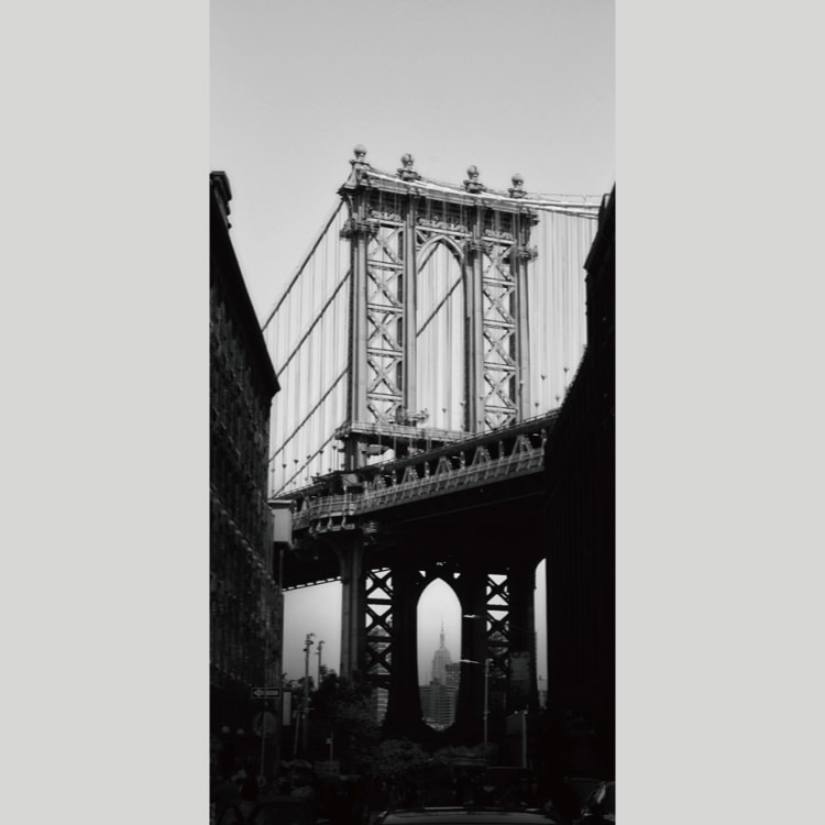 IGREBOW ˥塼衼 ֥å ϶褫鸫ޥϥå֥å[» 12] ܥ ƥꥢե ԥ㡼 ̿