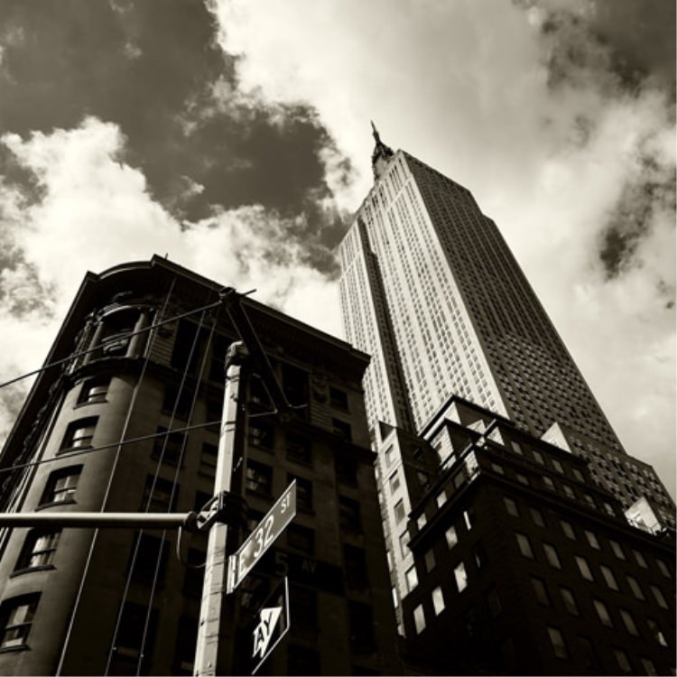 IGREBOW ˥塼衼 ޥϥå ӤΩĥѥơȥӥ[ 11] ܥ ƥꥢե ԥ㡼 ̿