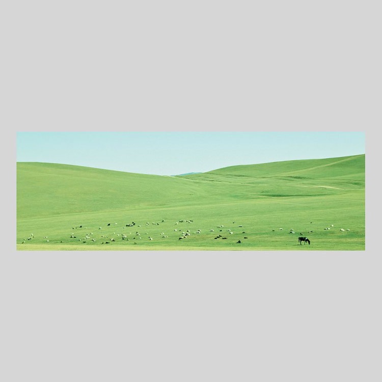 IGREBOW ��󥴥� �ƥ�른 ���𸶤����ҡ�[����� 1��3] ��������ܥ� ����ƥꥢ�ե��� �ԥ����㡼������ �̿�