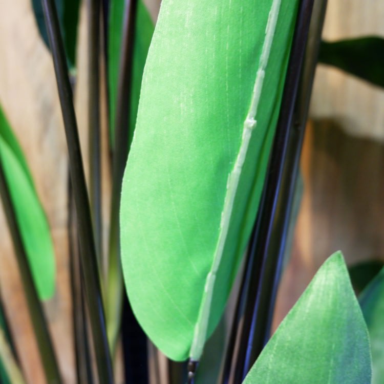 ����� 200cm��GLP-1513 �����ƥ��ե�����륰�꡼�� �͹����տ�ʪ ���꡼��