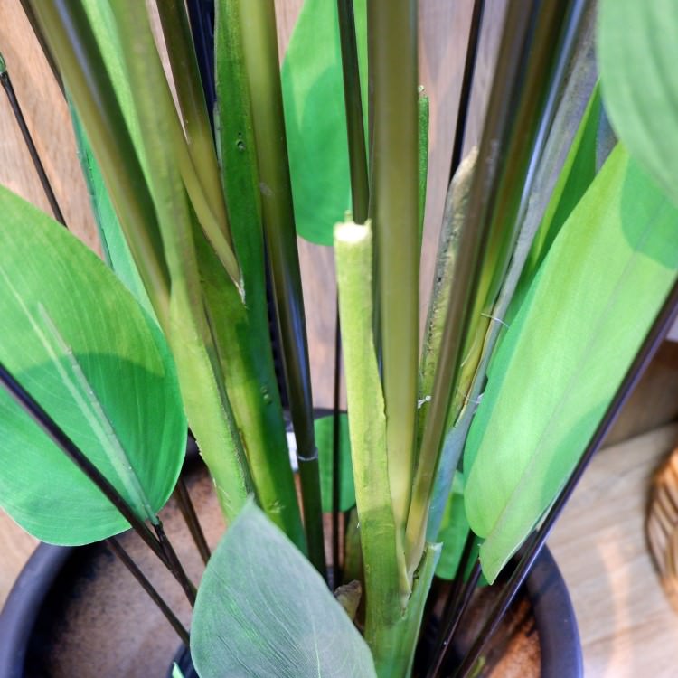 ����� 200cm��GLP-1513 �����ƥ��ե�����륰�꡼�� �͹����տ�ʪ ���꡼��