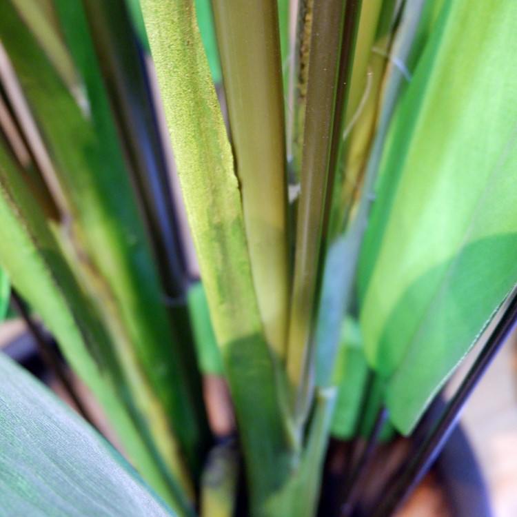 ����� 200cm��GLP-1513 �����ƥ��ե�����륰�꡼�� �͹����տ�ʪ ���꡼��