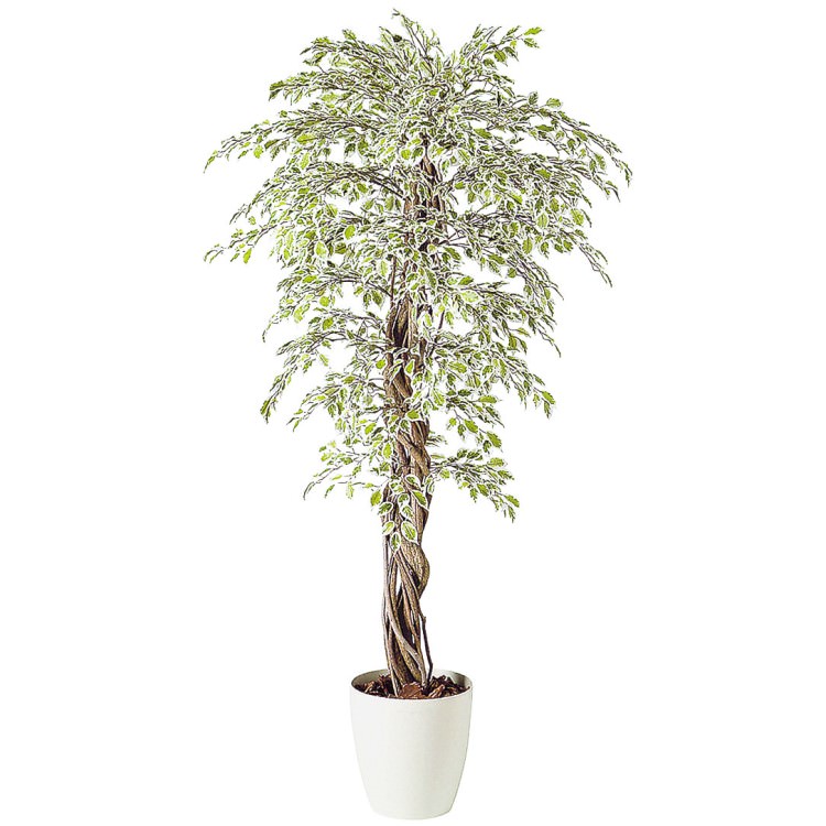 ٥󥸥ߥʥ饤ȥꥢ W90H180cmTK98527 ƥե륰꡼ ͹տʪ ͹ ȭդ꡼