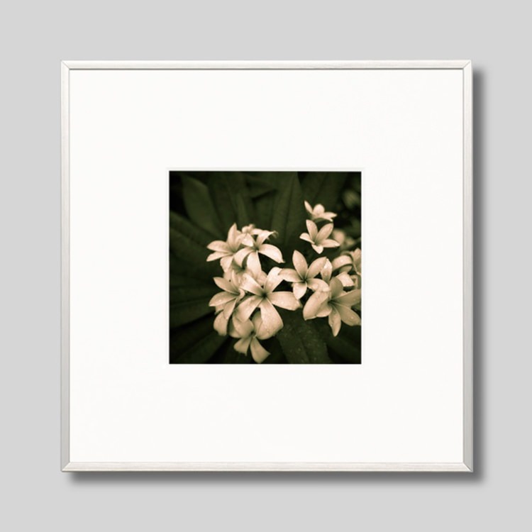 IGREBOW ץꥢβ֡[ 11] ܥ ƥꥢե ԥ㡼 ̿