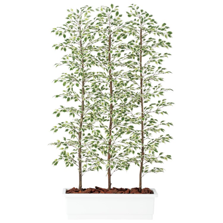 ٥󥸥ߥʥ饤ȥѡơ W100D50H200cmTK91612 ƥե륰꡼ ͹տʪ ͹ ȭդ꡼