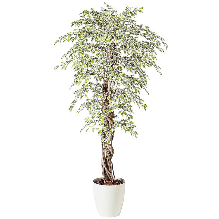 ٥󥸥ߥʥ饤ȥꥢ W80H150cmTK98528 ƥե륰꡼ ͹տʪ ͹ ȭդ꡼