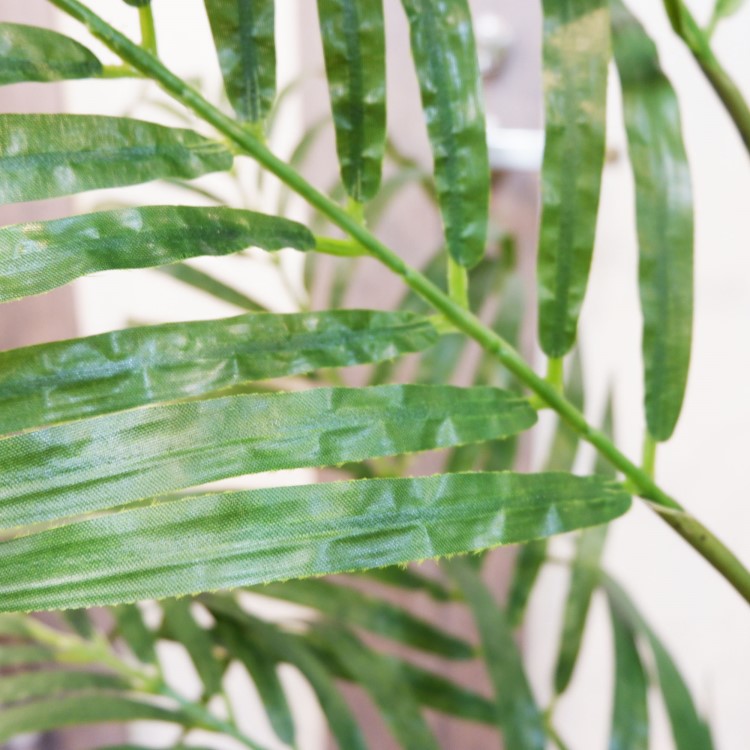 쥫ѡݥå152cmFD3353 ƥե륰꡼ ͹տʪ ͹ ʰȭդ꡼