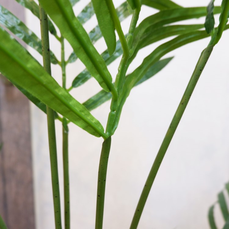 쥫ѡݥå152cmFD3353 ƥե륰꡼ ͹տʪ ͹ ʰȭդ꡼