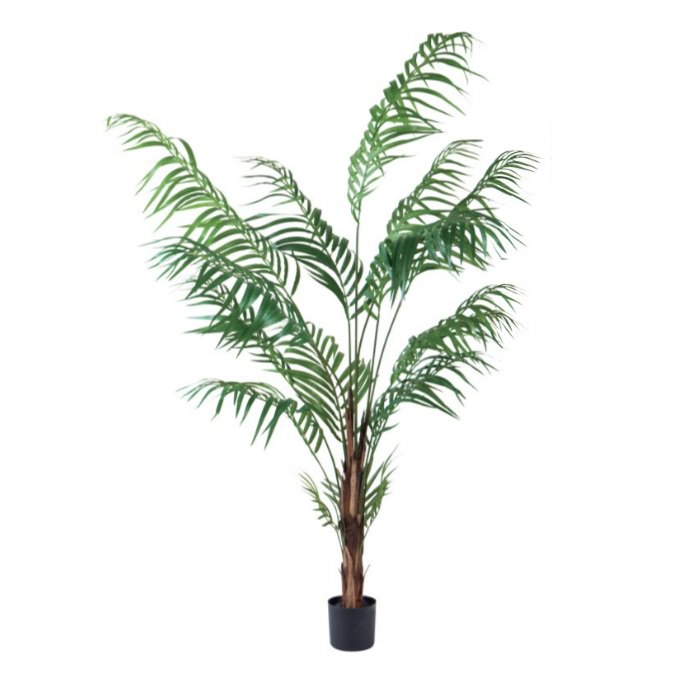 쥫ѡݥå152cmFD3353 ƥե륰꡼ ͹տʪ ͹ ʰȭդ꡼