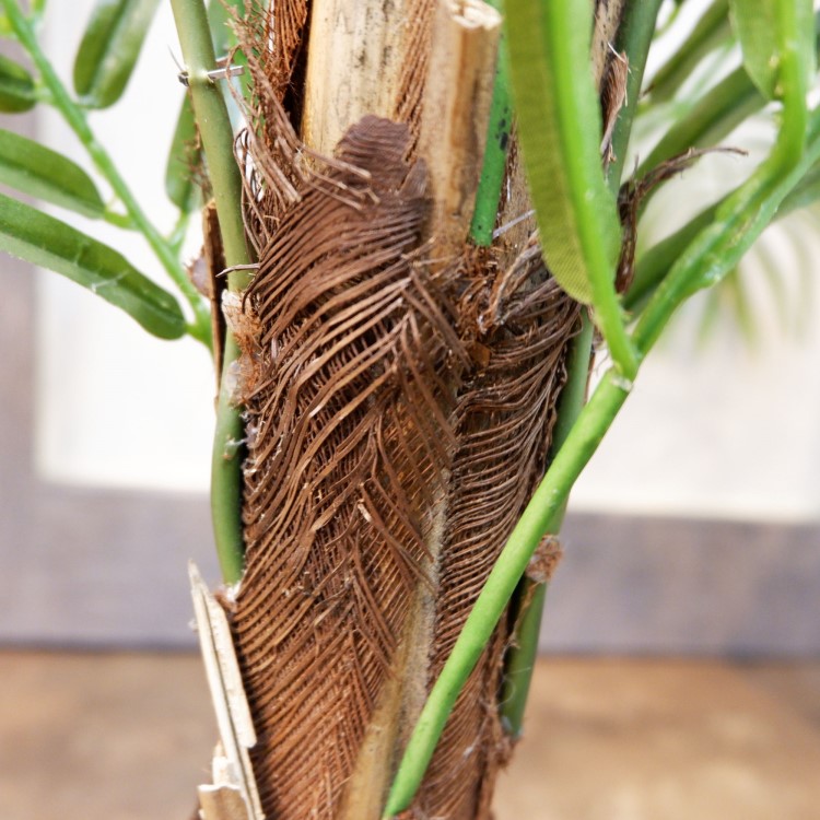 쥫ѡݥå152cmFD3353 ƥե륰꡼ ͹տʪ ͹ ʰȭդ꡼