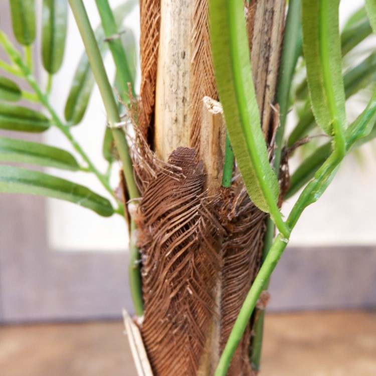 쥫ѡݥå152cmFD3353 ƥե륰꡼ ͹տʪ ͹ ʰȭդ꡼