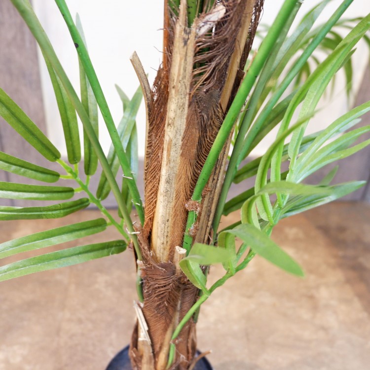 쥫ѡݥå152cmFD3353 ƥե륰꡼ ͹տʪ ͹ ʰȭդ꡼