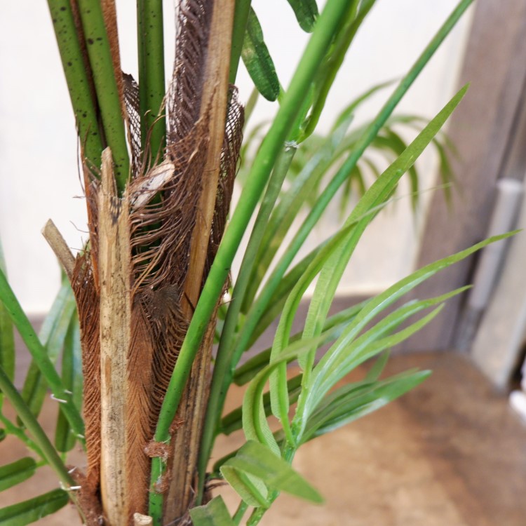 쥫ѡݥå152cmFD3353 ƥե륰꡼ ͹տʪ ͹ ʰȭդ꡼