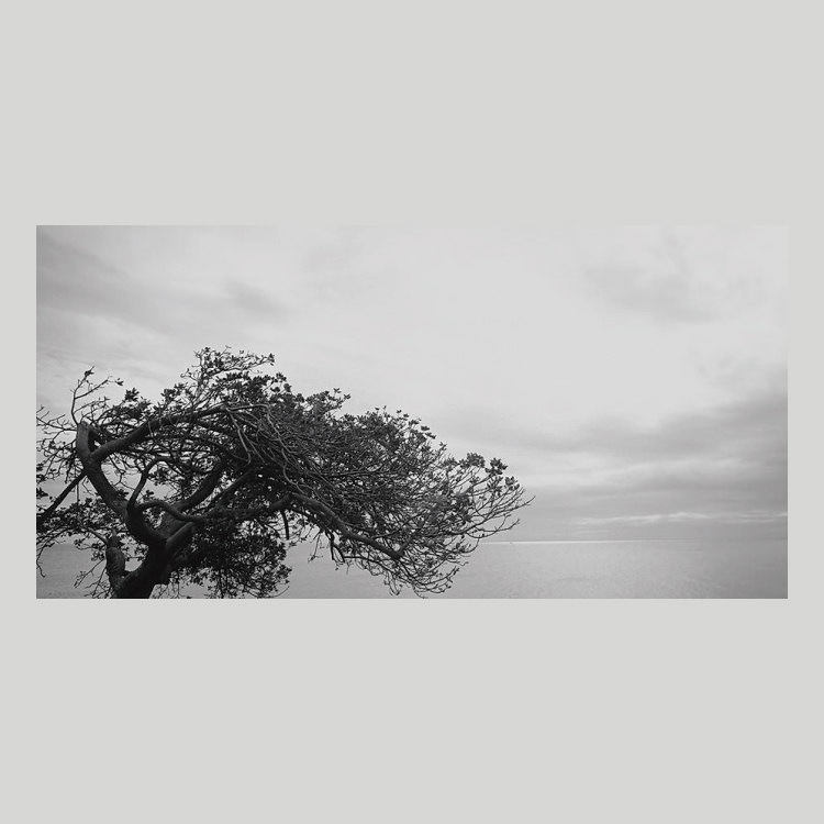 IGREBOW �˥塼����ɥ˥� �����ɥơ����� ���Ƕʤ��ä��� �ӥå���������[���å� 1��2] ��������ܥ� ����ƥꥢ�ե��� �ԥ����㡼������ �̿�