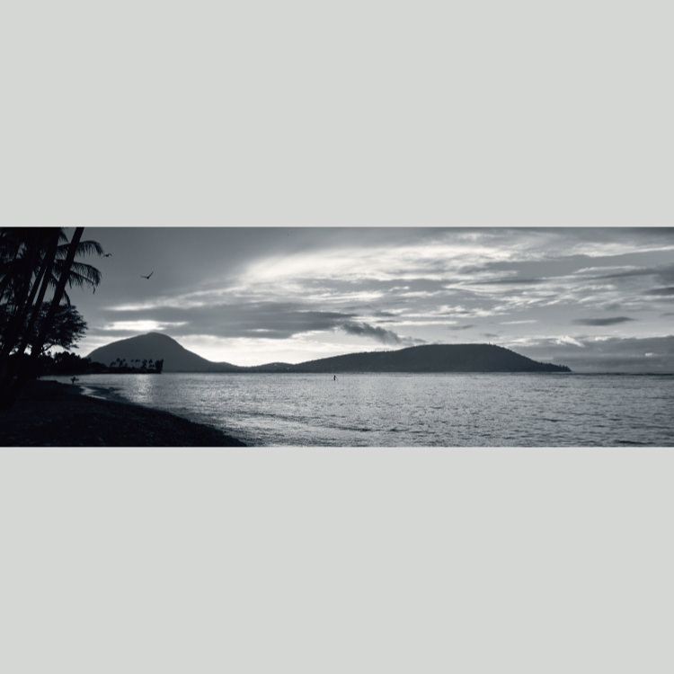 IGREBOW �ϥ磻 �������γ� ���磻�ۥ�̨�ȥ������졼������[�»� 1��3] ��������ܥ� ����ƥꥢ�ե��� �ԥ����㡼������ �̿�