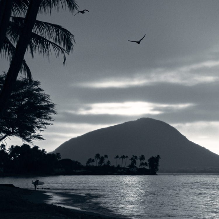 IGREBOW �ϥ磻 �������γ� ���磻�ۥ�̨�ȥ������졼������[�»� 1��3] ��������ܥ� ����ƥꥢ�ե��� �ԥ����㡼������ �̿�