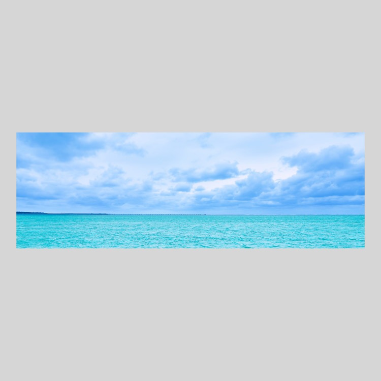 IGREBOW  ܸť֥롼γ[» 13] ܥ ƥꥢե ԥ㡼 ̿