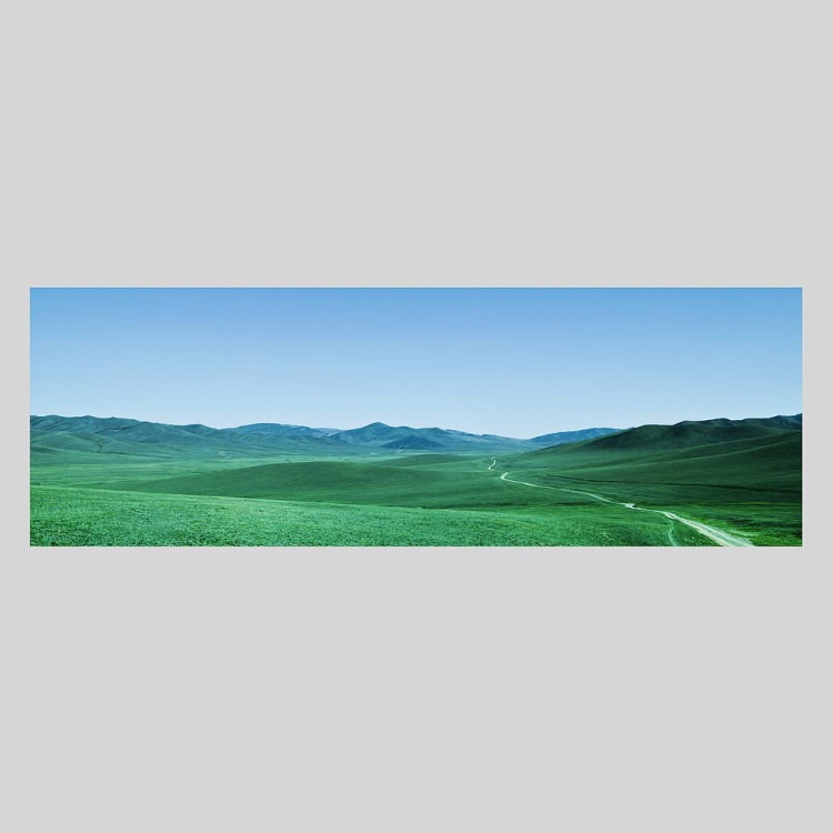 IGREBOW 󥴥 ƥ른𸶤ƻ[ 13] ܥ ƥꥢե ԥ㡼 ̿