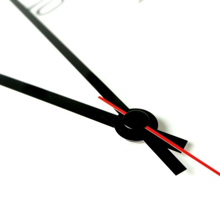 [����] ZACK 60014 VEDERE �ɥ���ZACK���������ǥ�����Υ������륯���å�(����)