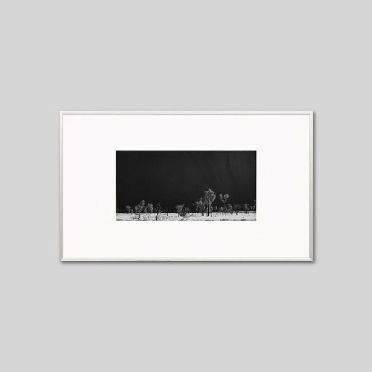 IGREBOW �������ȥ�ꥢ ������ȩ���𸶤μ��ڡ�[����� 1��2] ��������ܥ� ����ƥꥢ�ե��� �ԥ����㡼������ �̿�