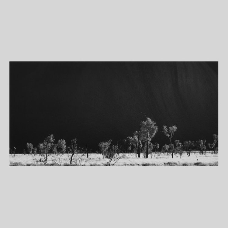 IGREBOW �������ȥ�ꥢ ������ȩ���𸶤μ��ڡ�[����� 1��2] ��������ܥ� ����ƥꥢ�ե��� �ԥ����㡼������ �̿�