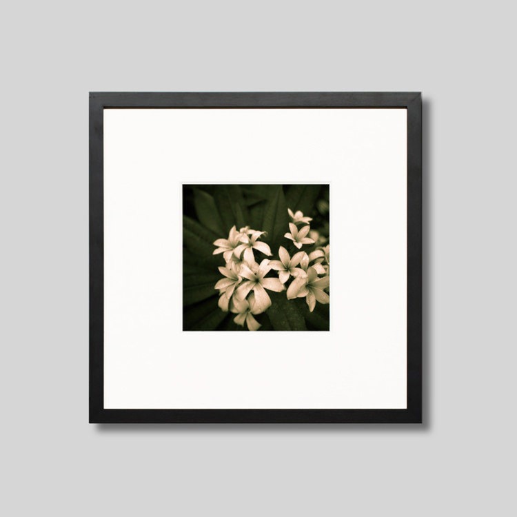 IGREBOW �ץ��ꥢ�β֡�[���å� 1��1] ��������ܥ� ����ƥꥢ�ե��� �ԥ����㡼������ �̿�