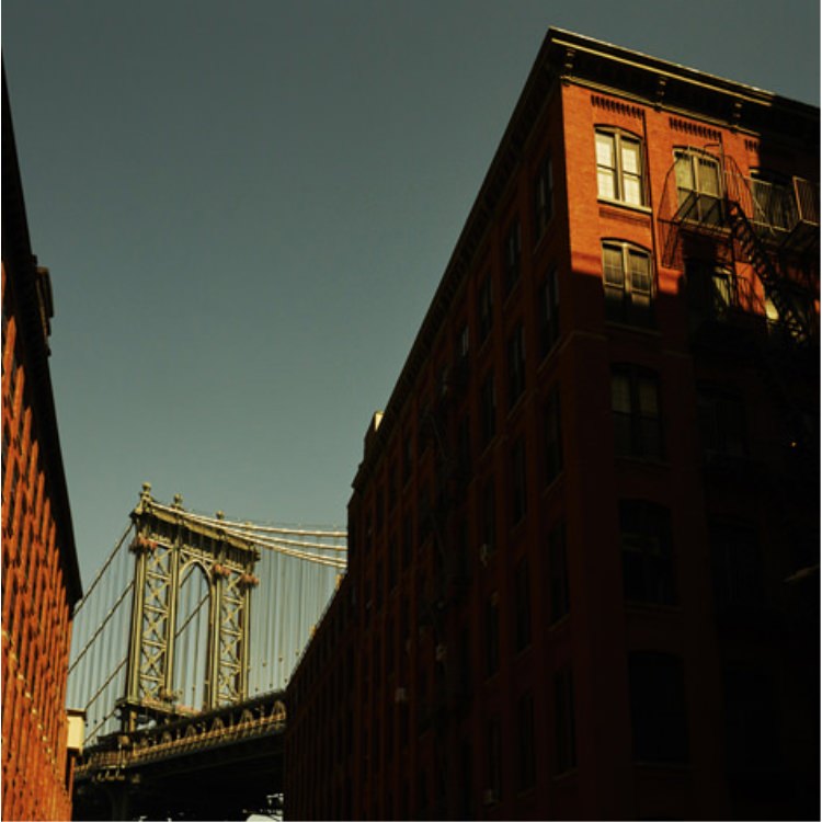 IGREBOW ˥塼衼 ϶褫ޥϥå֥å˾[ 11] ܥ ƥꥢե ԥ㡼 ̿