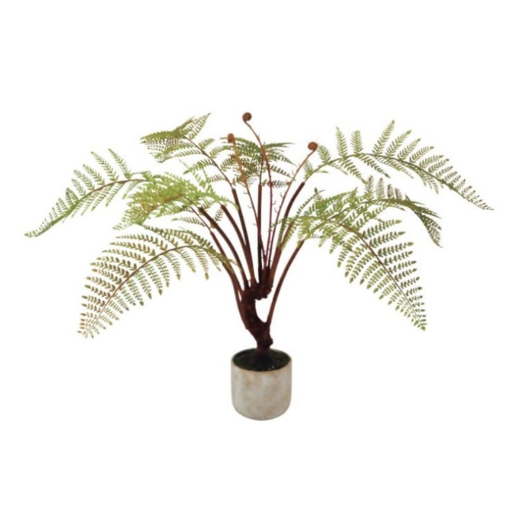 ꡼եݥå55cmFD3703 ƥե륰꡼ ͹տʪ ͹ ʰȭդ꡼