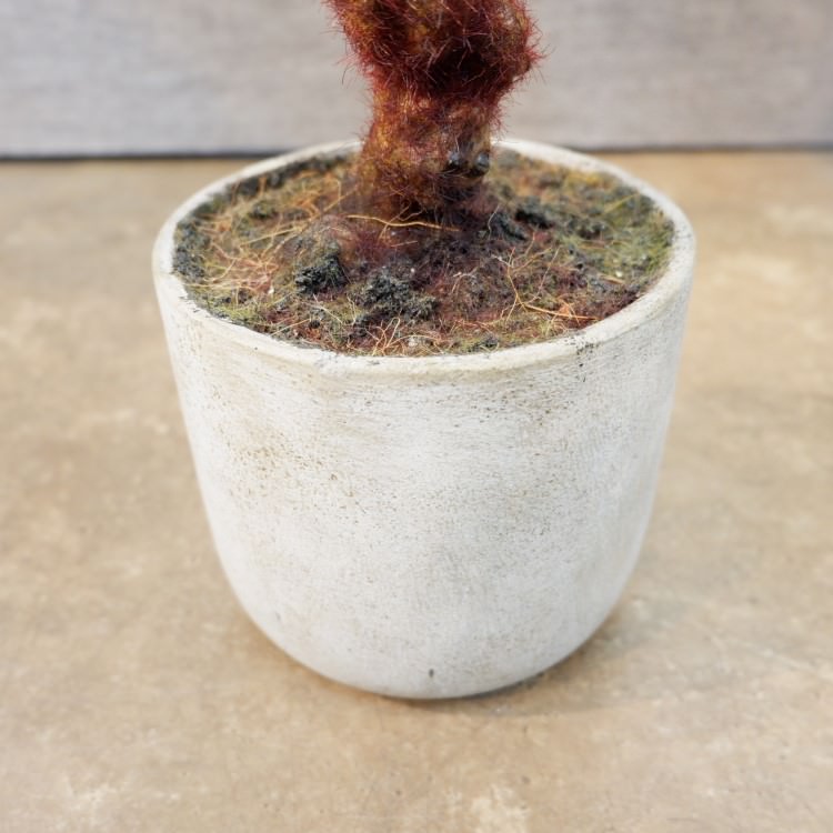 ꡼եݥå55cmFD3703 ƥե륰꡼ ͹տʪ ͹ ʰȭդ꡼