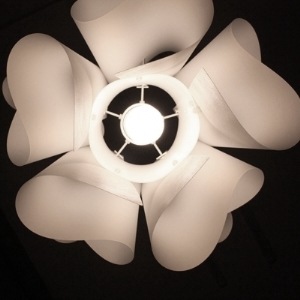 DI CLASSE(�ǥ�����å�)�Υڥ����ȥ��ס�Auro M WH ������M �ۥ磻��