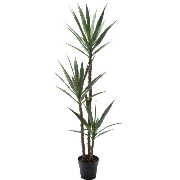 åեƥڥ 155cmGLP-1519 ƥե륰꡼ ͹տʪ ꡼