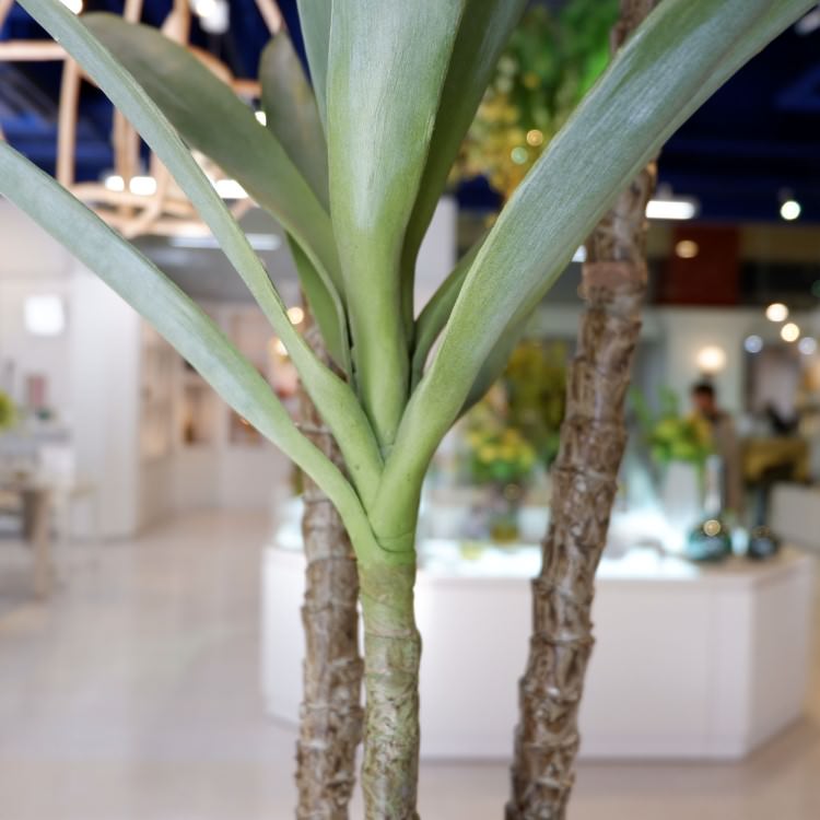 åեƥڥ 155cmGLP-1519 ƥե륰꡼ ͹տʪ ꡼