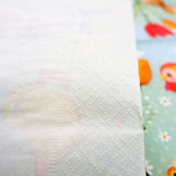 ʥץ(20)3333cm PAPER+DESIGN Ҥ褳ȤˤȤ PD21918