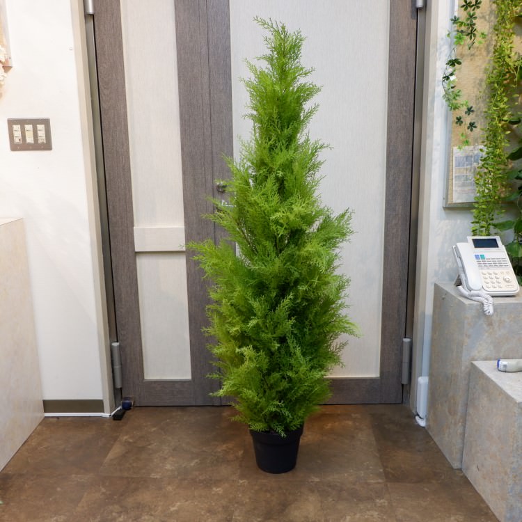 ɥ쥹ȥݥå(L)150cmFD3704 ƥե륰꡼ ͹տʪ ͹ ʰȭդ꡼