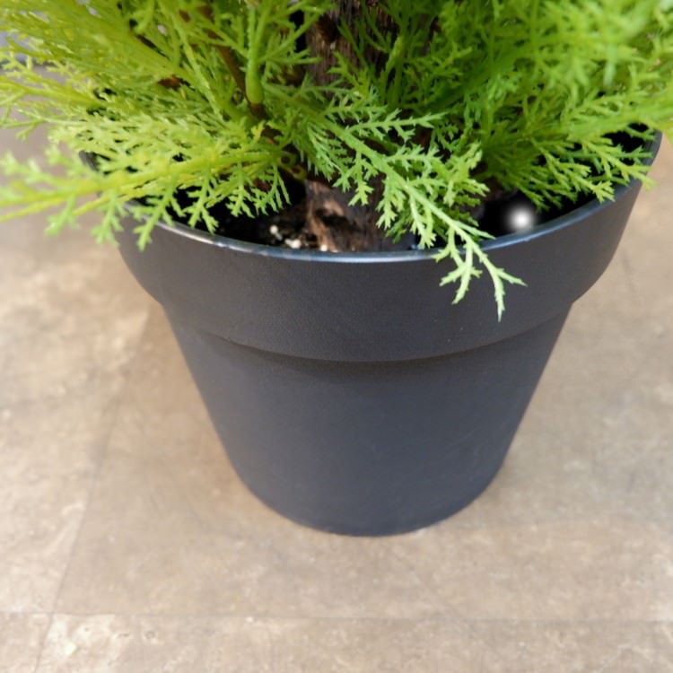 ɥ쥹ȥݥå(L)150cmFD3704 ƥե륰꡼ ͹տʪ ͹ ʰȭդ꡼