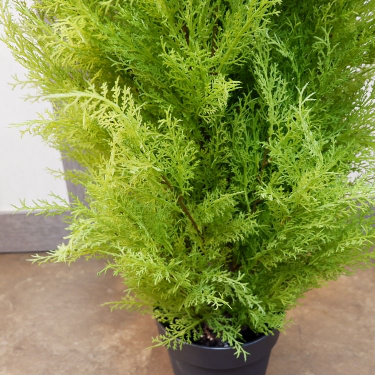 ɥ쥹ȥݥå(L)150cmFD3704 ƥե륰꡼ ͹տʪ ͹ ʰȭդ꡼