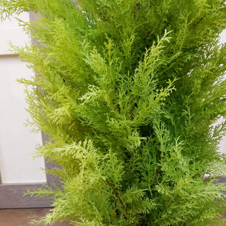 ɥ쥹ȥݥå(L)150cmFD3704 ƥե륰꡼ ͹տʪ ͹ ʰȭդ꡼