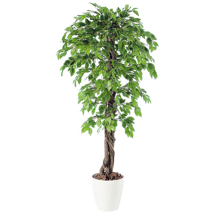 �٥󥸥�ߥʥ��ץ�å���ꥢ�� W100��H200cm��TK98532 �����ƥ��ե�����륰�꡼�� �͹����տ�ʪ �͹����� ȭ�դ����꡼��