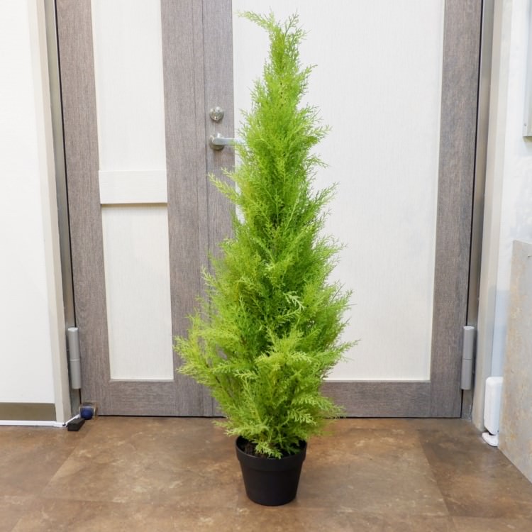 ɥ쥹ȥݥå(M)120cmFD3705 ƥե륰꡼ ͹տʪ ͹ ʰȭդ꡼