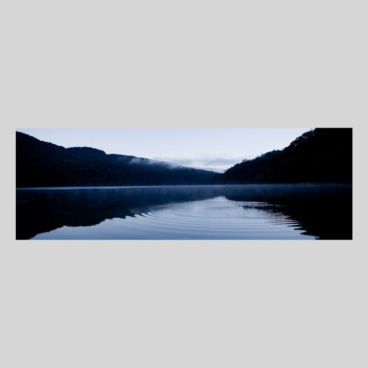 IGREBOW ϸ ݾ¤[å 13] ܥ ƥꥢե ԥ㡼 ̿