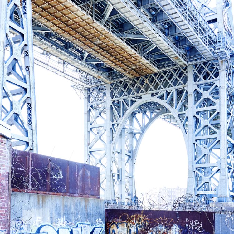 IGREBOW ˥塼衼 ꥢॺС֥åζӡ[ 11] ܥ ƥꥢե ԥ㡼 ̿