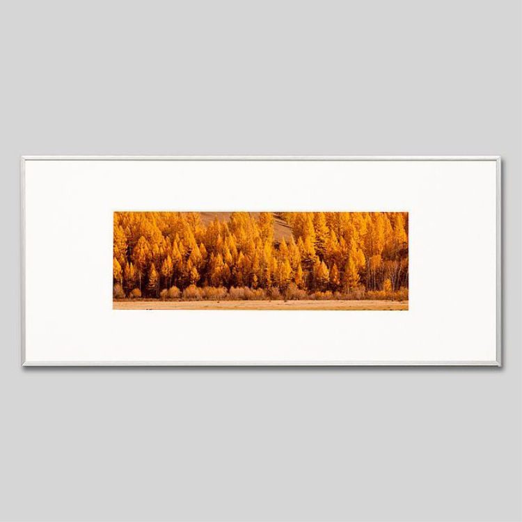 IGREBOW ��󥴥� �ƥ�른 ���դο���[����� 1��3] ��������ܥ� ����ƥꥢ�ե��� �ԥ����㡼������ �̿�