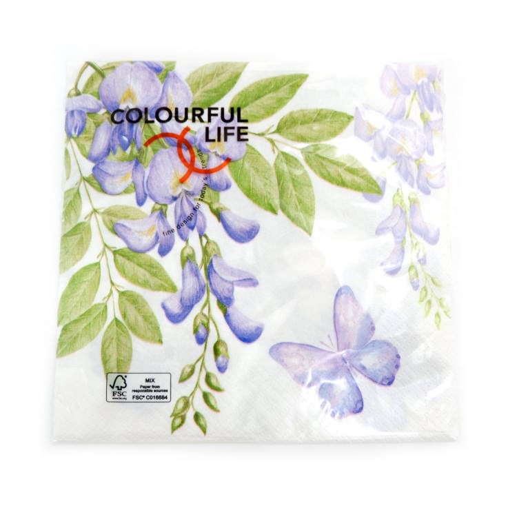 ʥץ(20)3333cm PAPER+DESIGN ƥꥢ ѡץ LN0662