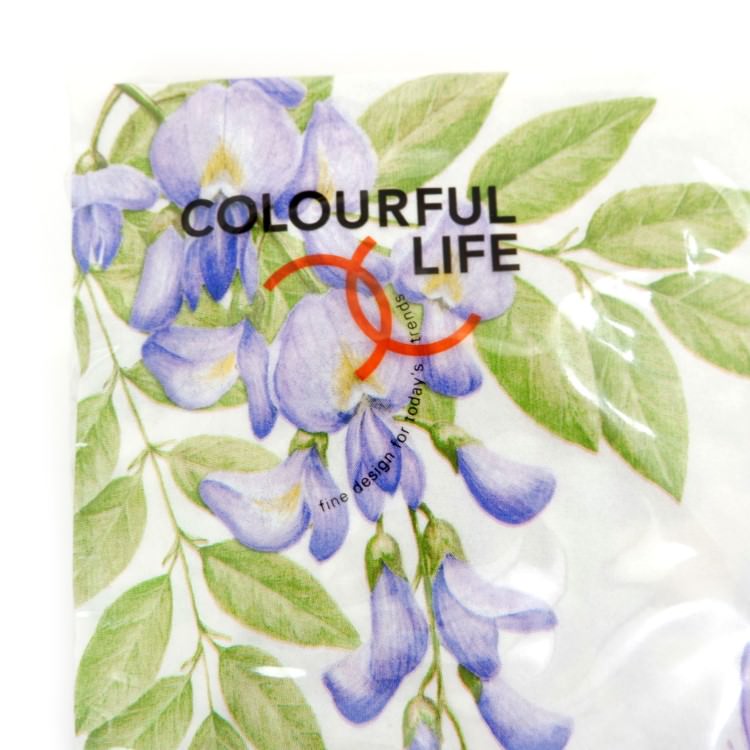 ʥץ(20)3333cm PAPER+DESIGN ƥꥢ ѡץ LN0662