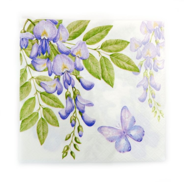 ʥץ(20)3333cm PAPER+DESIGN ƥꥢ ѡץ LN0662