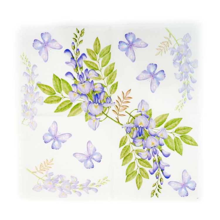 ʥץ(20)3333cm PAPER+DESIGN ƥꥢ ѡץ LN0662